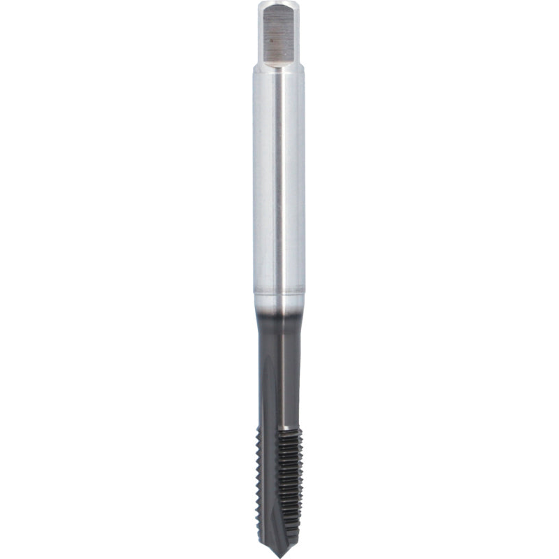 Machuelo HSSE Marca ATORN 13041680