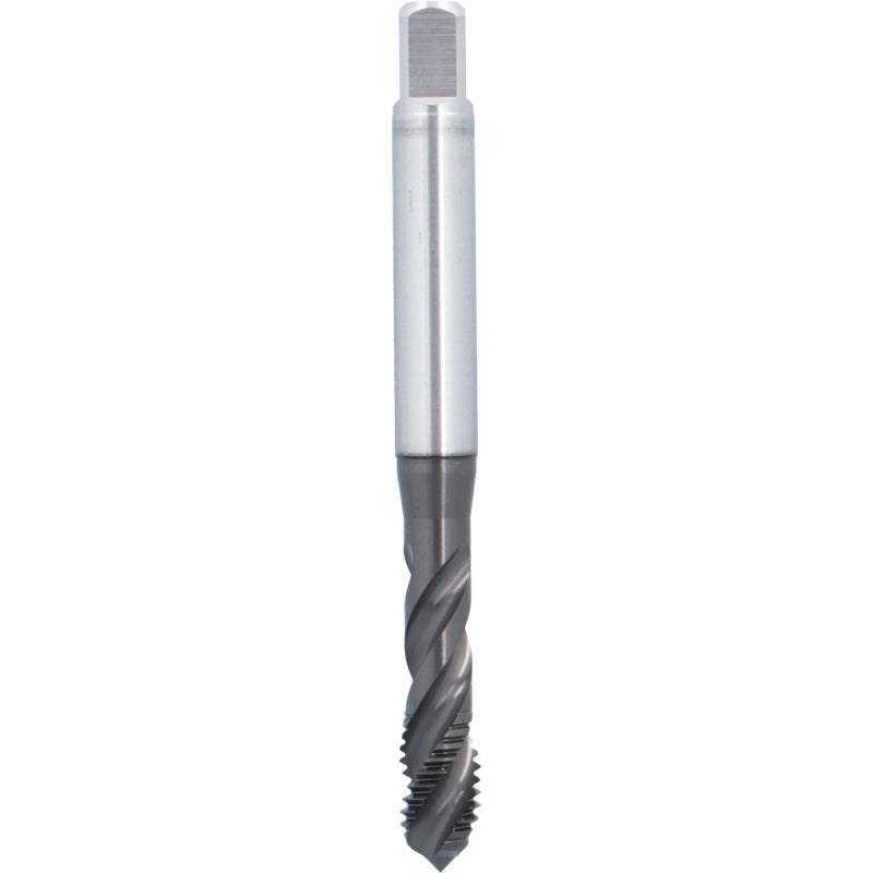 Machuelo HSSE Marca ATORN 13093380