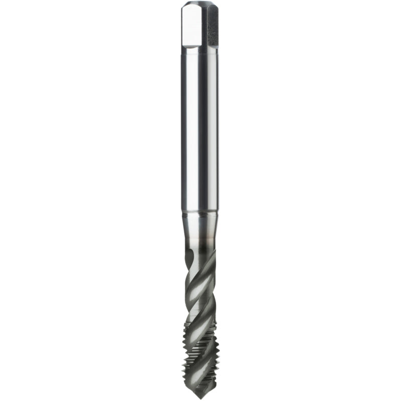 Machuelo HSSE Marca ATORN 13252590