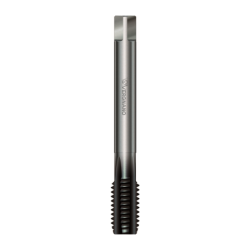 Machuelo HSSP Marca Vergnano A121250455A1AV0