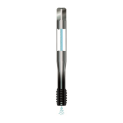 Machuelo HSSK Marca Vergnano A141500453P1AV0