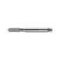 212161-M10X1ISO2 Machuelo HSS-E-PM M10X1 Marca Walter