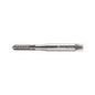 40311-M4ISO Machuelo HSS-E M4 Marca Walter