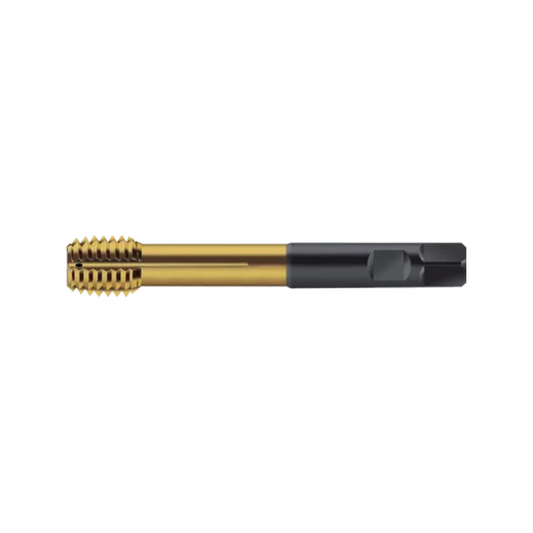 S2066345-M12 Machuelo Formador M12 TiN Marca Walter
