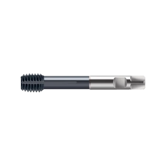 S2066306-M12 Machuelo Formador M12 TiCN Marca Walter