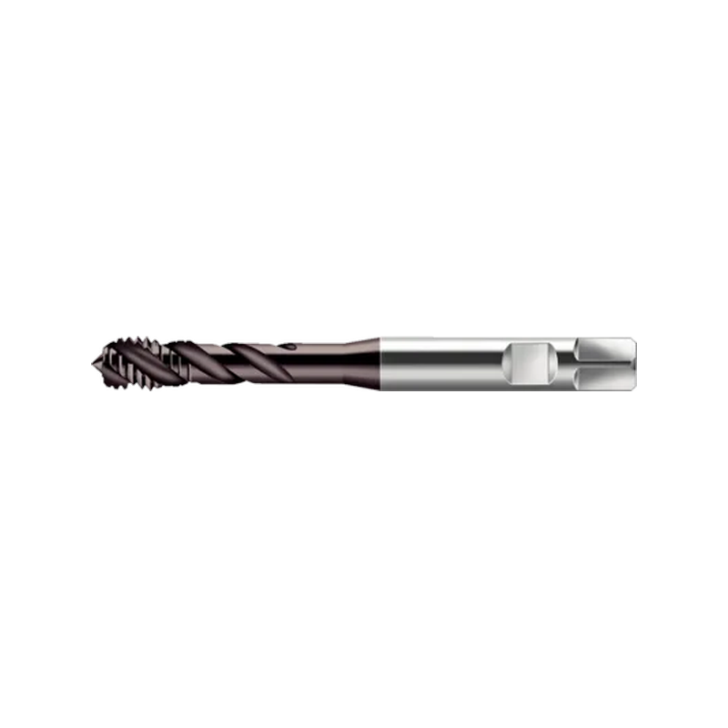 S2156302-M10X1ISO2 Machuelo HSS-E M10X1 THL Marca Walter