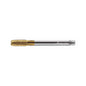 7026345-M20ISO2 Machuelo HSS-E-PM M20 Refrigeracion Interna TiN Marca Walter