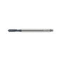 E2031436-M10ISO2 Machuelo HSS-E-PM M10 TiCN Marca Walter