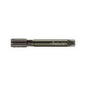 E24364-G3/8ISO Machuelo HSS-E-PM G3/8 Nitrurado + Vaporizado Marca Walter