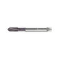 2141663-M10X1ISO2 Machuelo HSS-E-PM M10X1 AlCrN Marca Walter