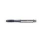 P2031006-M4ISO2 Machuelo HSS-E M4 TiCN Marca Walter