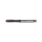 AEP2221002-UNC1/4ISO Machuelo HSS-E-PM UNC1/4 THL Marca Walter