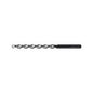 Broca Larga HSS Marca Walter 5061836