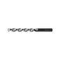 Broca Larga HSS Marca Walter 5153960
