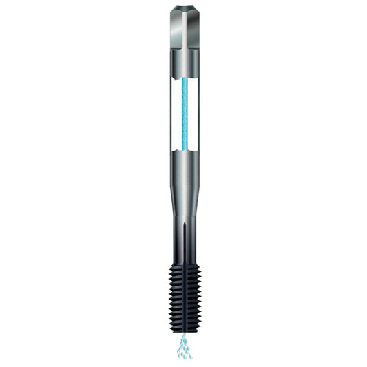 Machuelo Marca Vergnano A000800808R1AD0