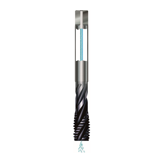 Machuelo HSSZ Marca Vergnano AGC3800594M1LH0