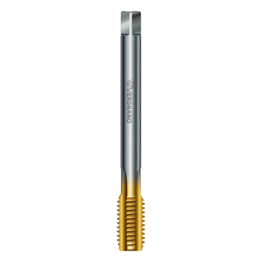 Machuelo HSSE Marca Vergnano ANG5800282A1MD0