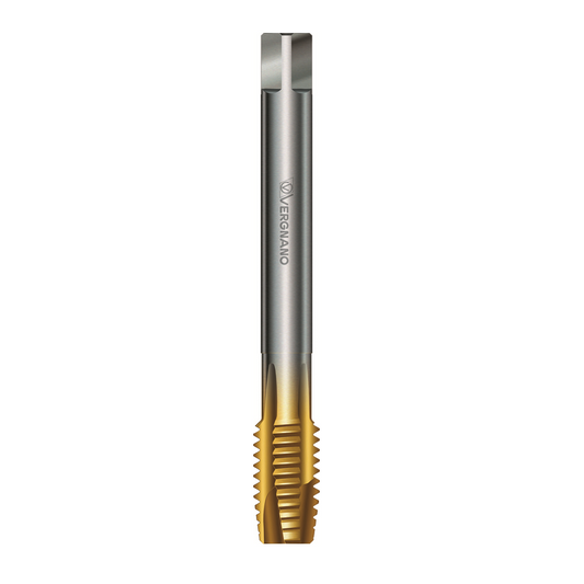 Machuelo HSSE Marca Vergnano APS1581192A2MD0