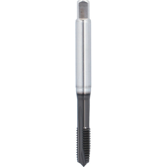 Machuelo HSSE Marca ATORN 13041650