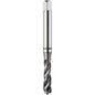 Machuelo Helicoidal HSSE-PM Marca ATORN 13050360