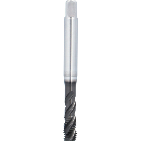 Machuelo HSSE Marca ATORN 13091040