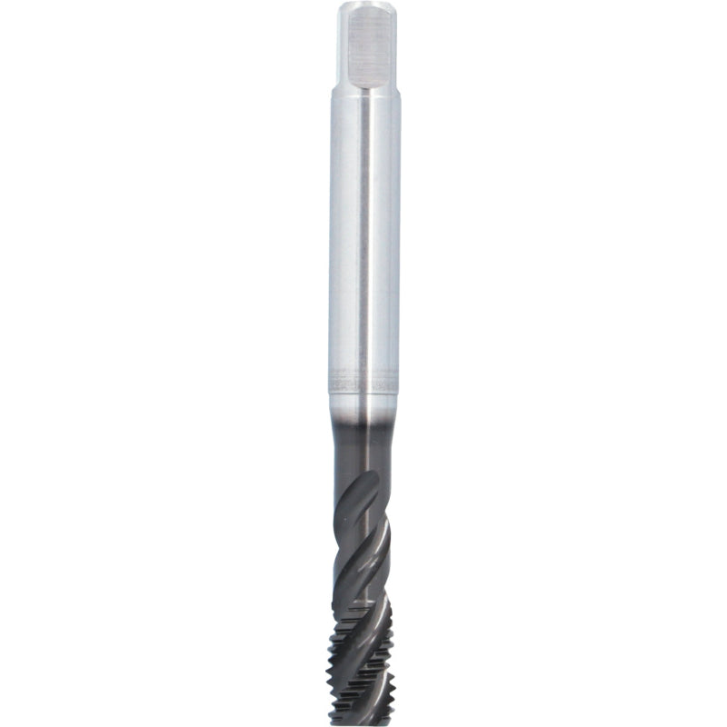 Machuelo HSSE Marca ATORN 13091080