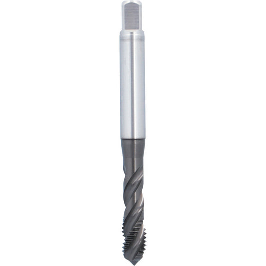 Machuelo HSSE Marca ATORN 13093050