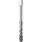 Machuelo Helicoidal HSSE-PM Marca ATORN 13202760