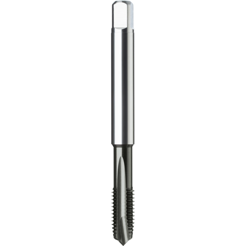 Machuelo HSSE Marca ATORN 13250225