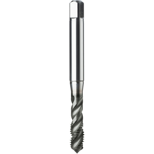 Machuelo HSSE Marca ATORN 13252560